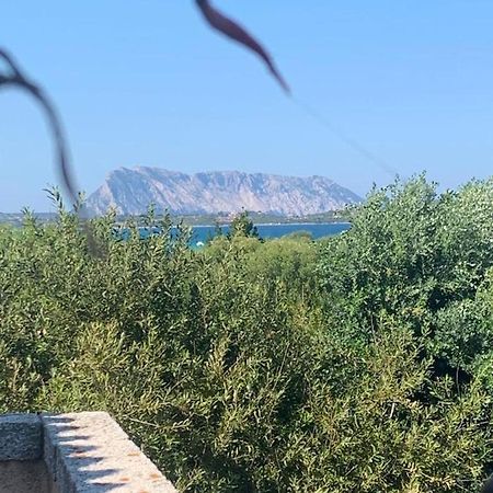 Villa La Cinta à San Teodoro  Extérieur photo