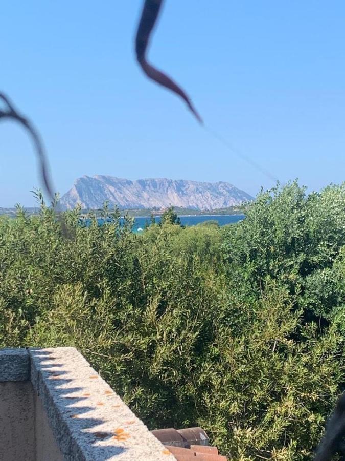 Villa La Cinta à San Teodoro  Extérieur photo